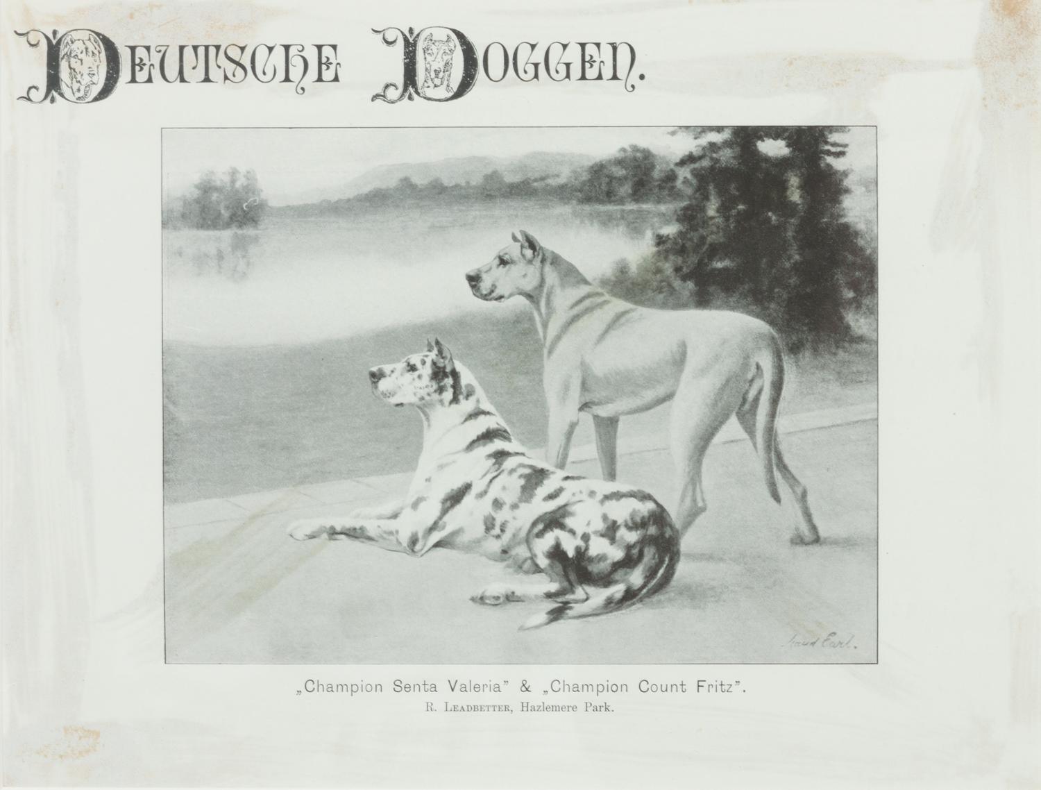 Two Prints depicting Great Danes Larger: 7 3/4 x 9 1/4 inches.