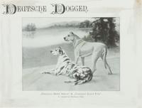 Two Prints depicting Great Danes Larger: 7 3/4 x 9 1/4 inches.