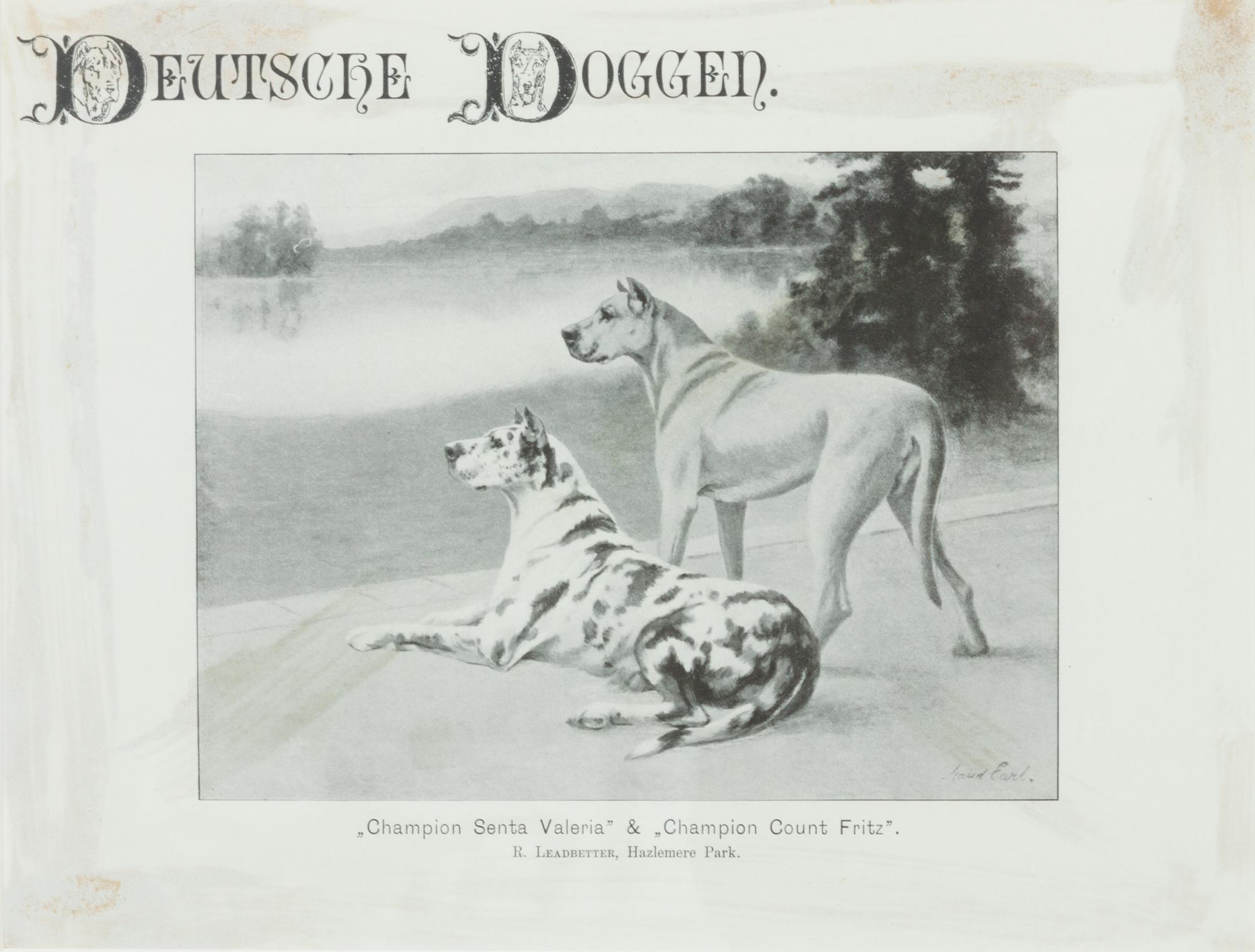 Two Prints depicting Great Danes Larger: 7 3/4 x 9 1/4 inches.