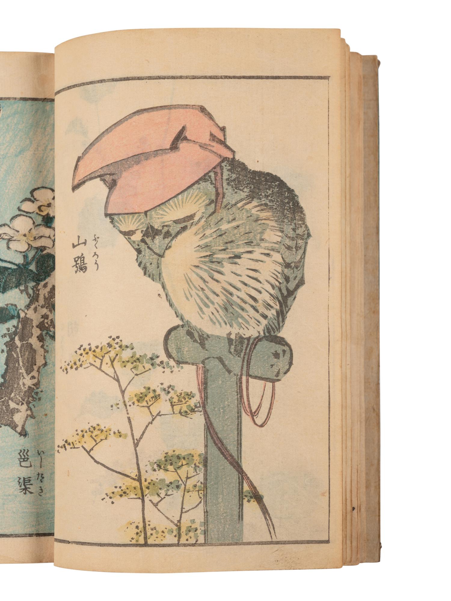 Two Japanese Illustrated Books after Katsushika Hokusai