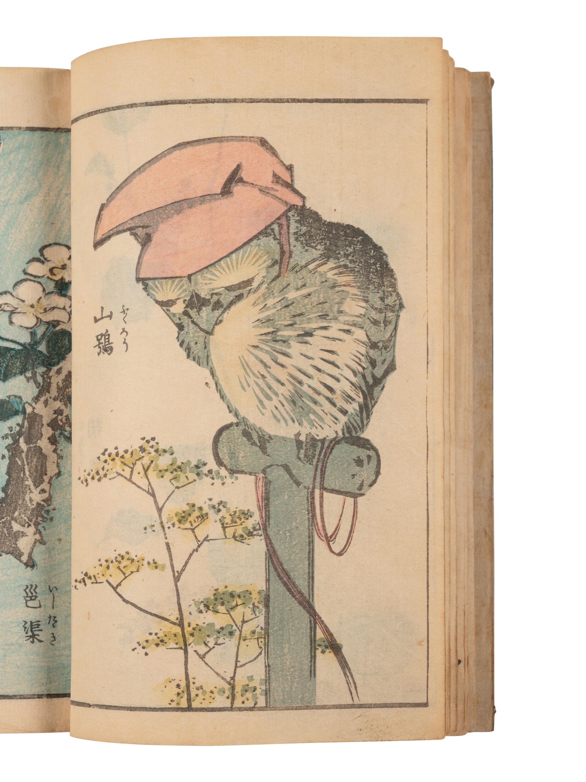Two Japanese Illustrated Books after Katsushika Hokusai