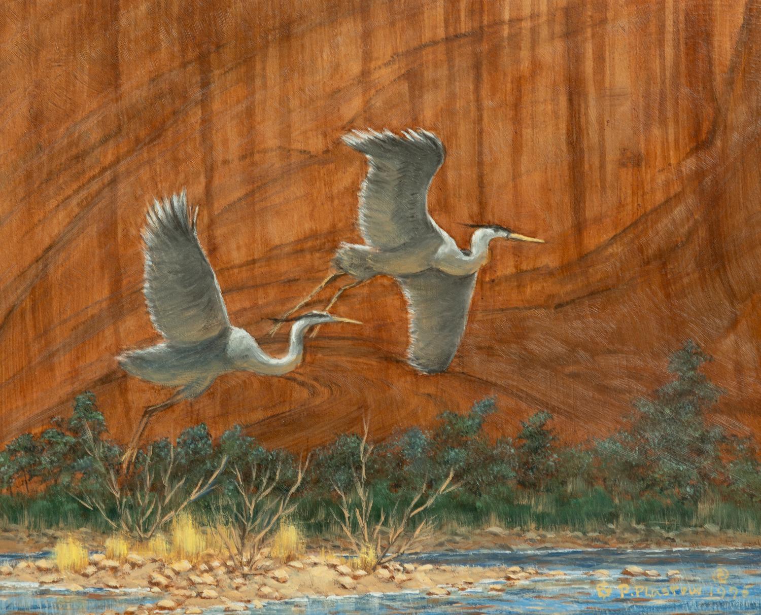Canyon Fight , 1995