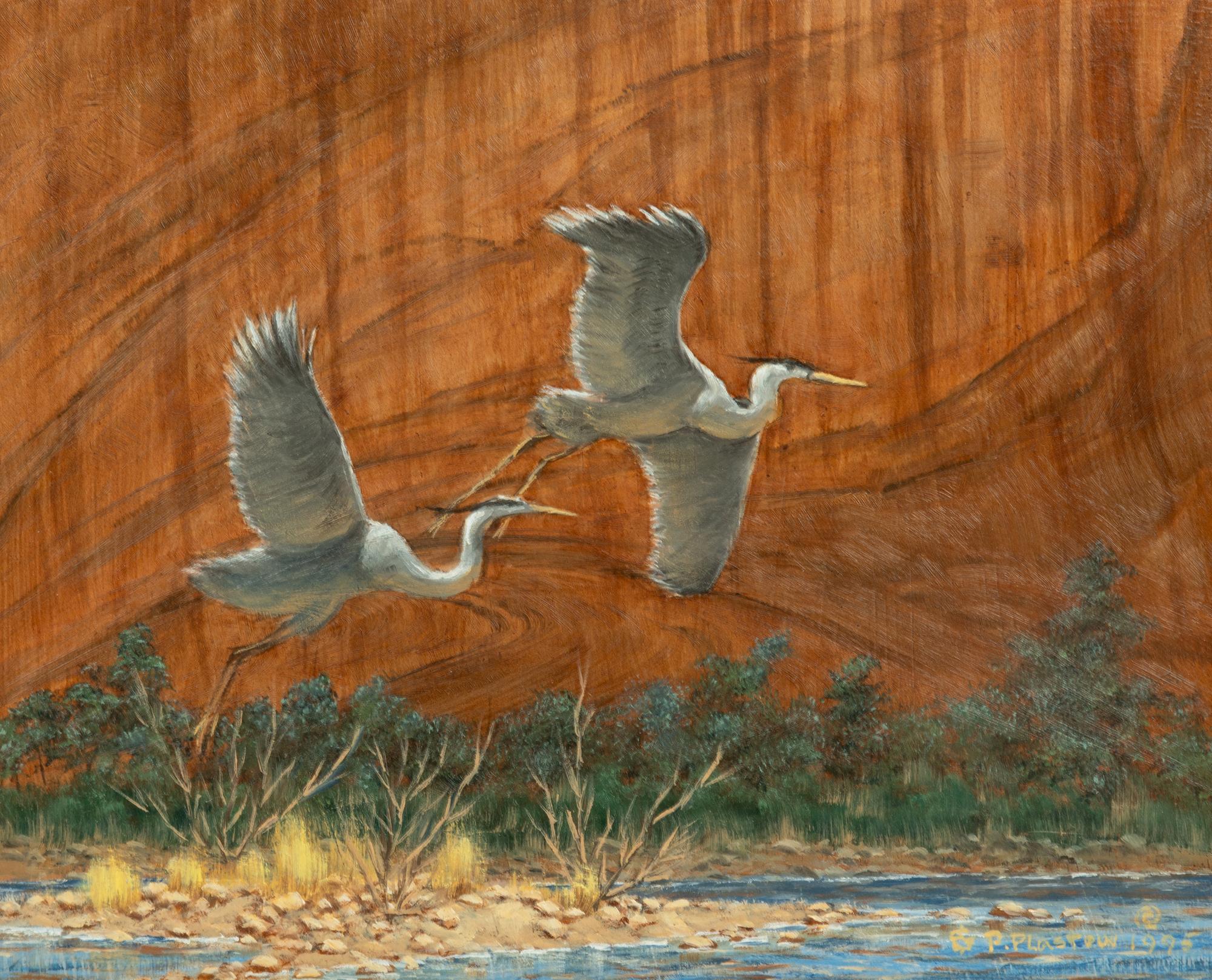 Canyon Fight , 1995