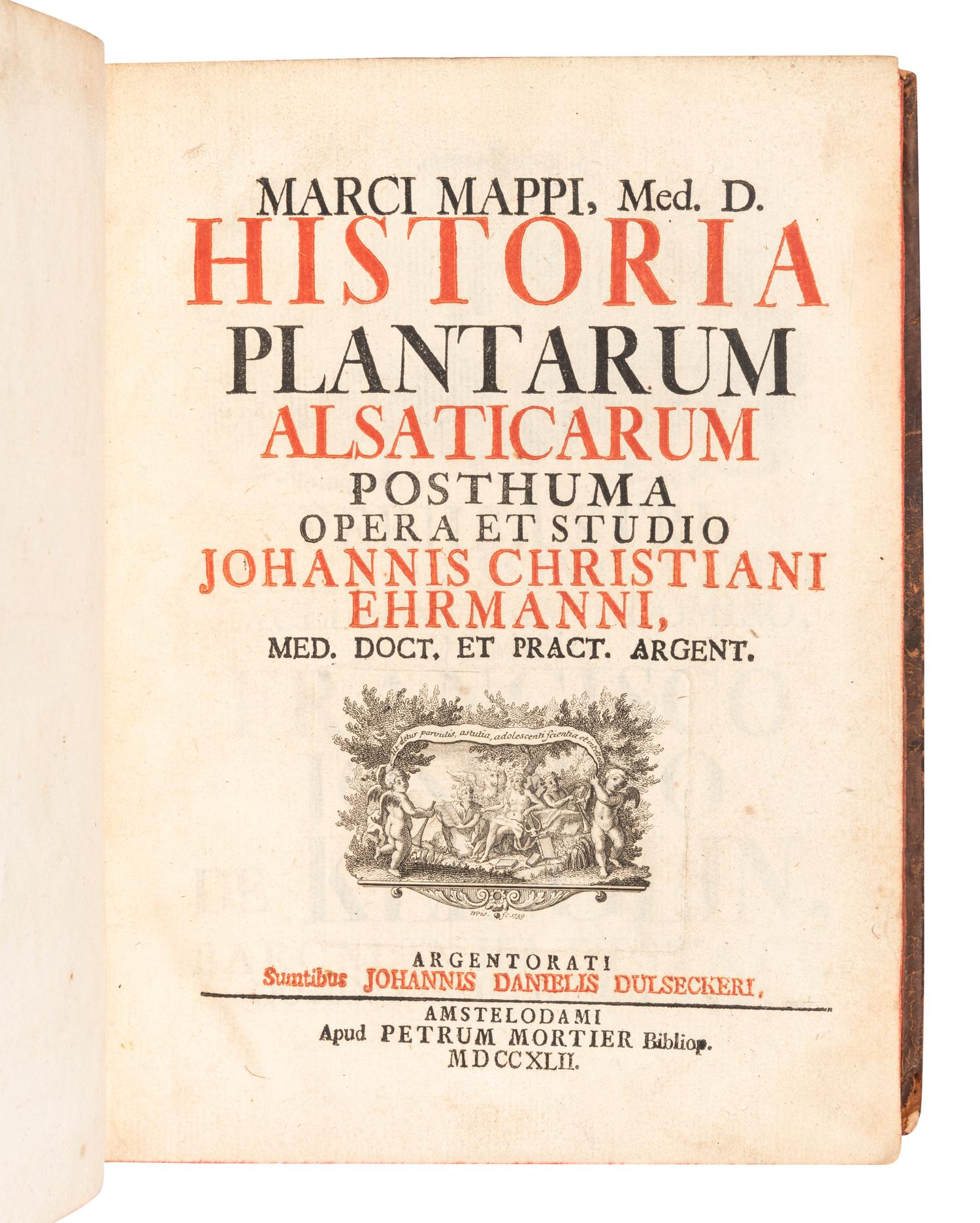 [FERNS & GRASSES]. A group of 7 works, including: