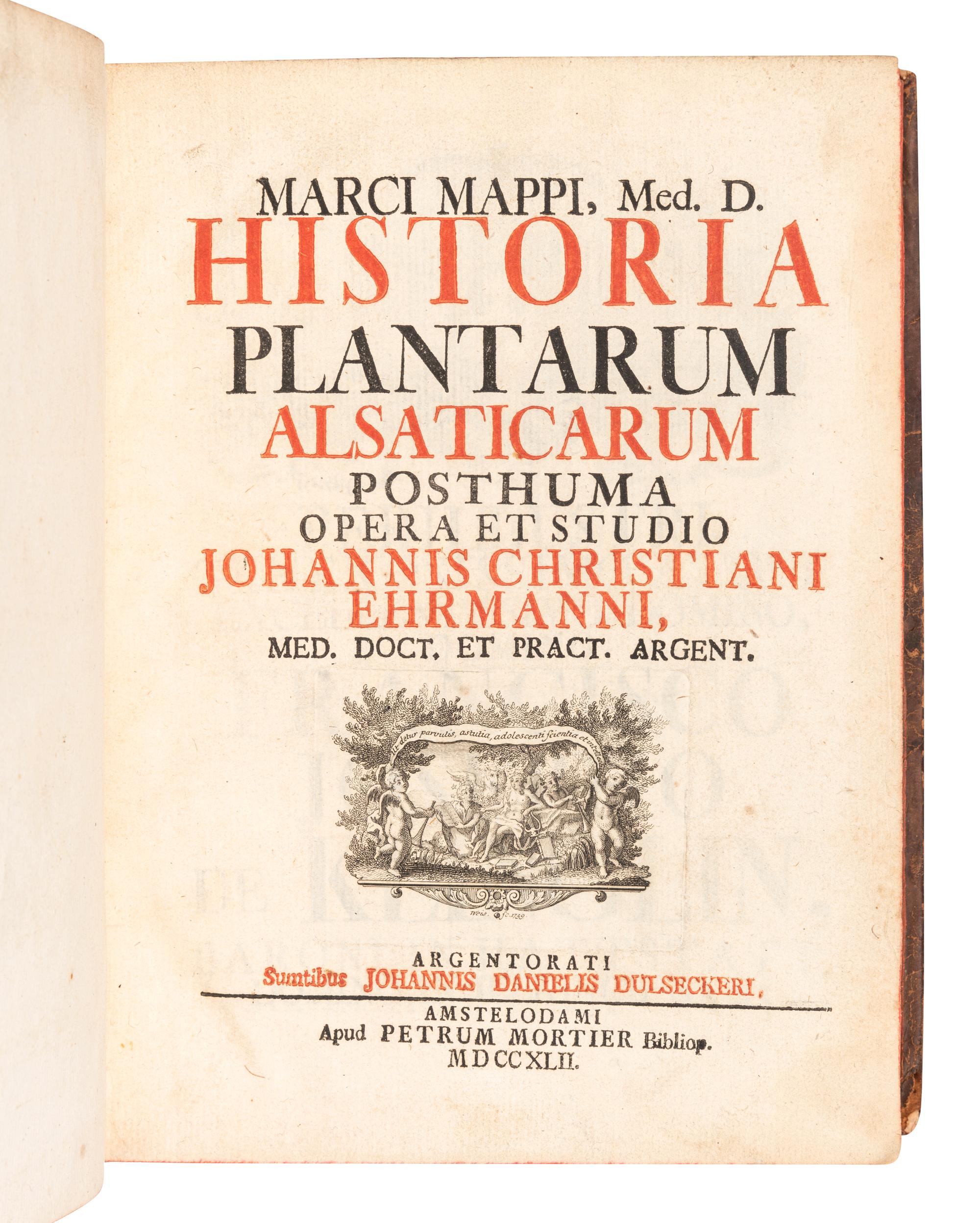 [FERNS & GRASSES]. A group of 7 works, including: