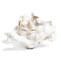 Tulip, 2014