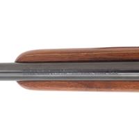 *Ruger M77 Hawkeye in .22-250