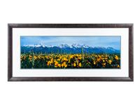 Summer's Peak , edition 112/2500