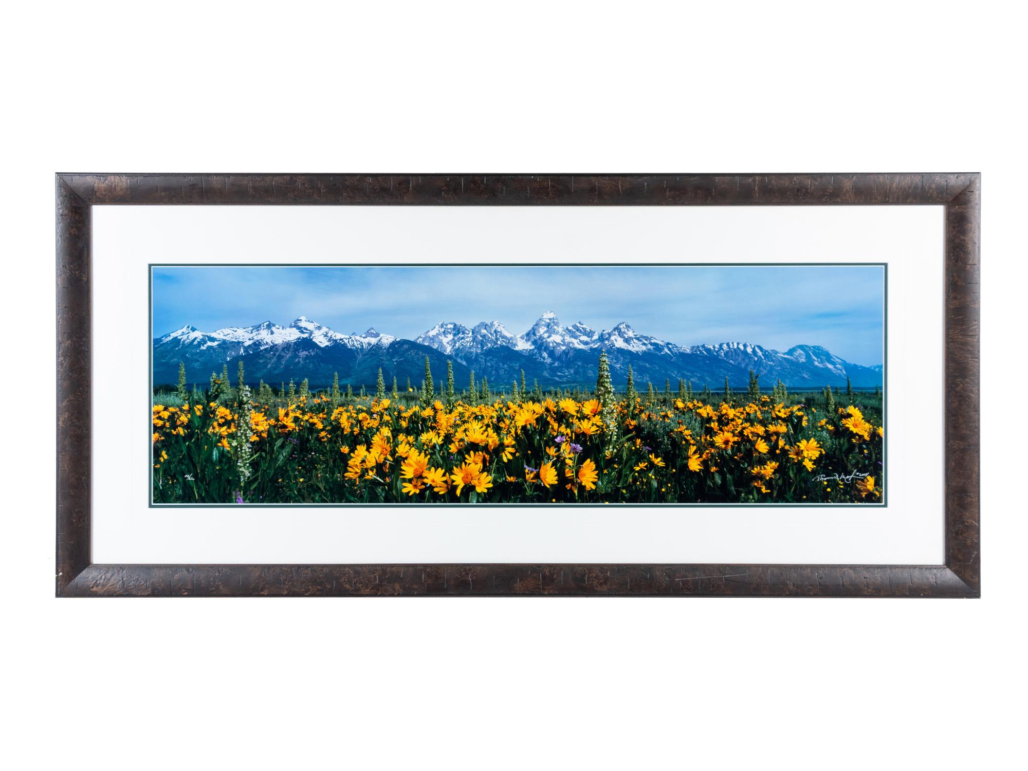 Summer's Peak , edition 112/2500