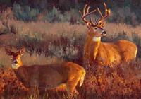 Sweethearts
