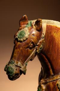 A Sancai Glazed Pottery Figure of a Standing Horse