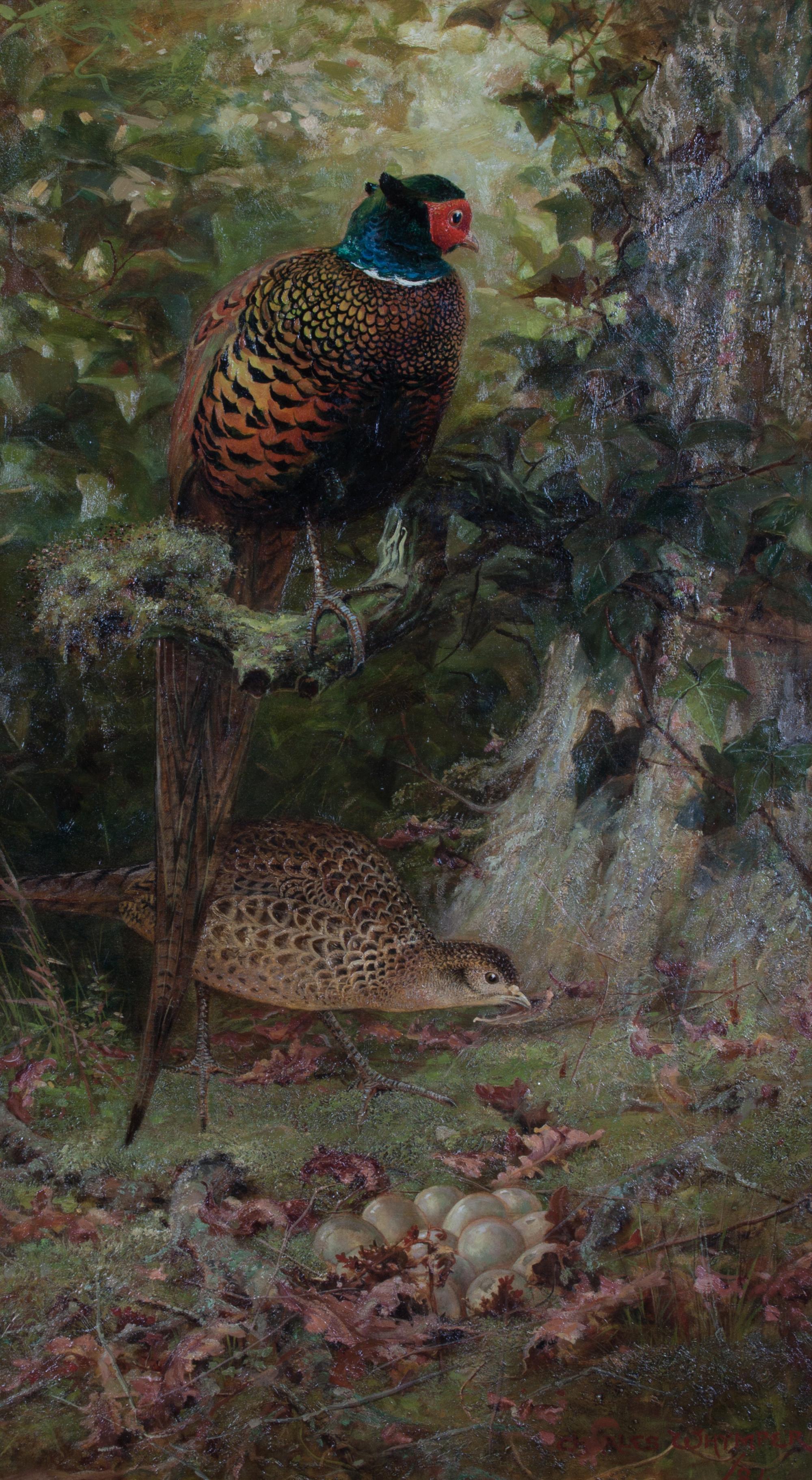 Charles Whymper, (British, 1853-1941), Pheasants, 1884