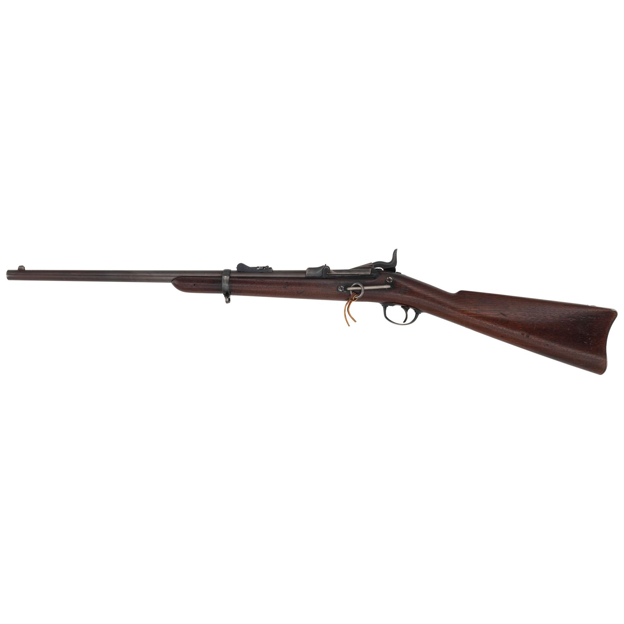 Springfield Model 1877 Carbine