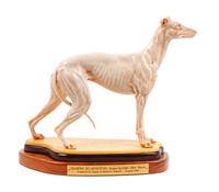 A Resin Greyhound Sculpture Height 15 1/4 x width 19 x depth 6 1/2 inches. — RALPH MASSEY (American, b. 1938)