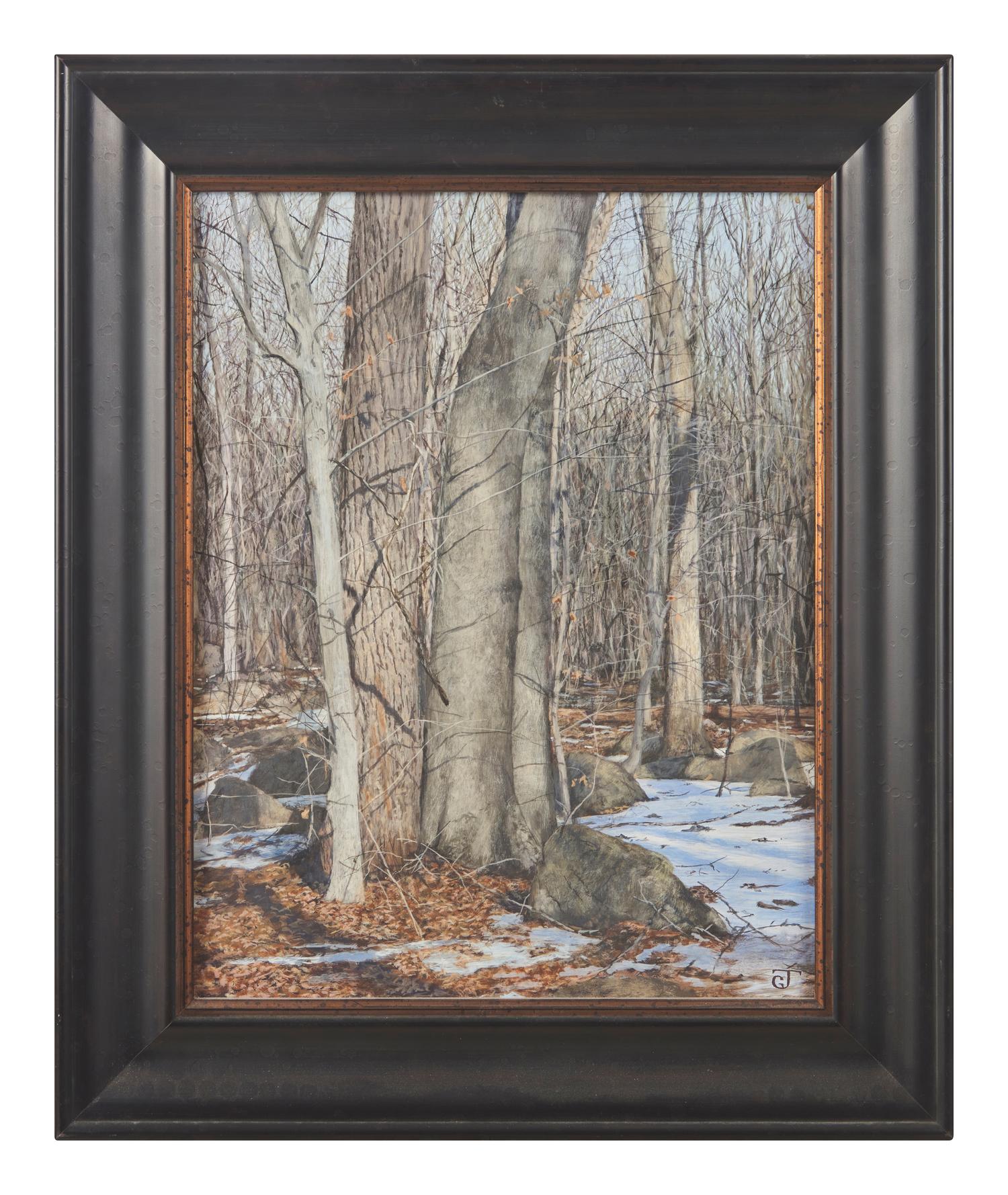 Winter Landscape