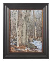 Winter Landscape