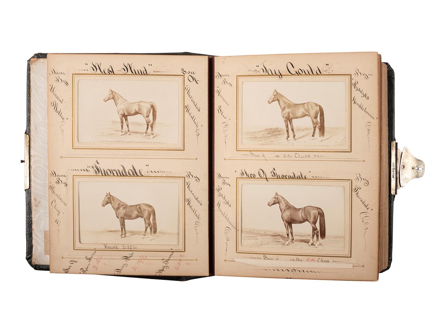 [EARLY PHOTOGRAPHY] -- [EQUESTRIAN]. SCHREIBER & SONS, photographers. Album containing 75 portraits of identified race horses. Philadelphia, PA: ca 1870s.