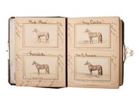 [EARLY PHOTOGRAPHY] -- [EQUESTRIAN]. SCHREIBER & SONS, photographers. Album containing 75 portraits of identified race horses. Philadelphia, PA: ca 1870s.