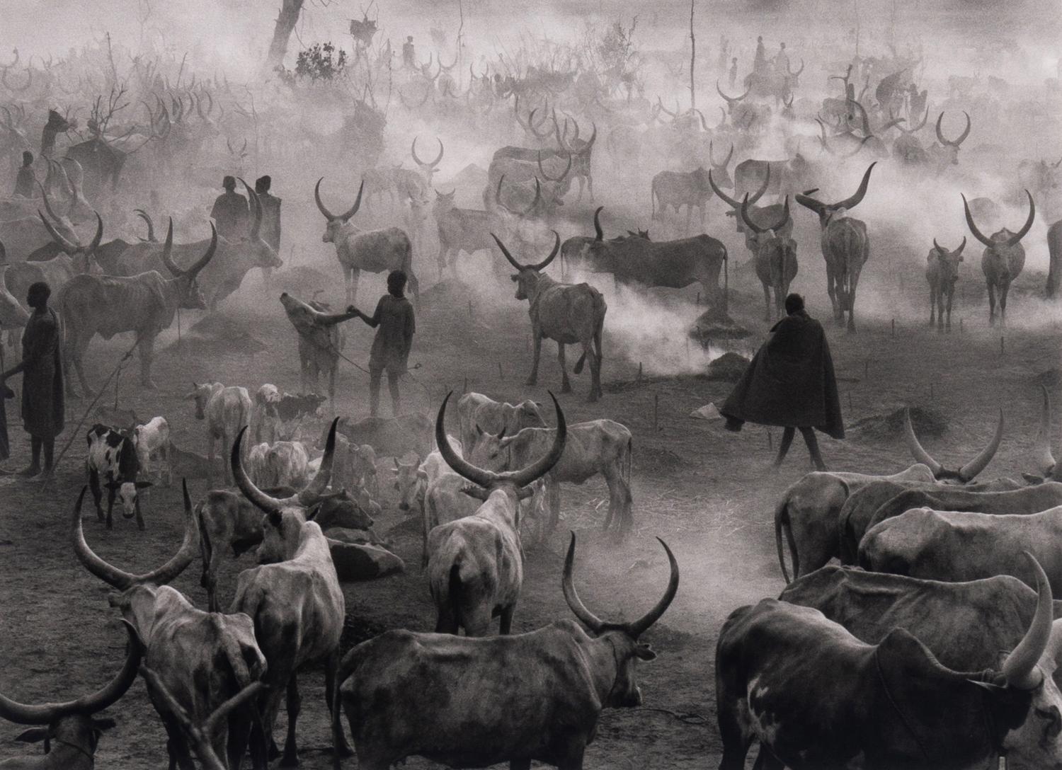 Dinka Cattle Camp of Amak, Southern Sudan, 2006