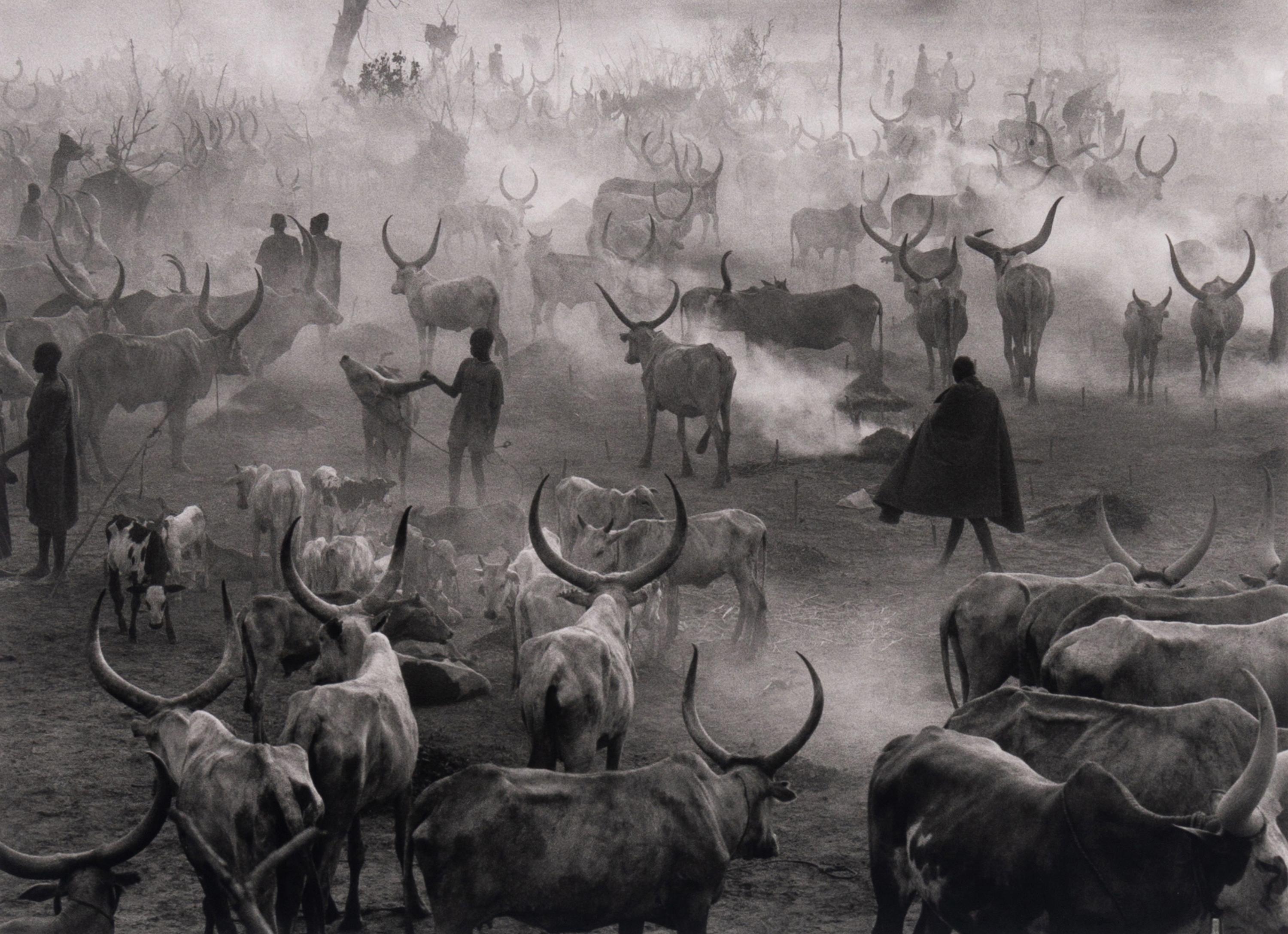 Dinka Cattle Camp of Amak, Southern Sudan, 2006