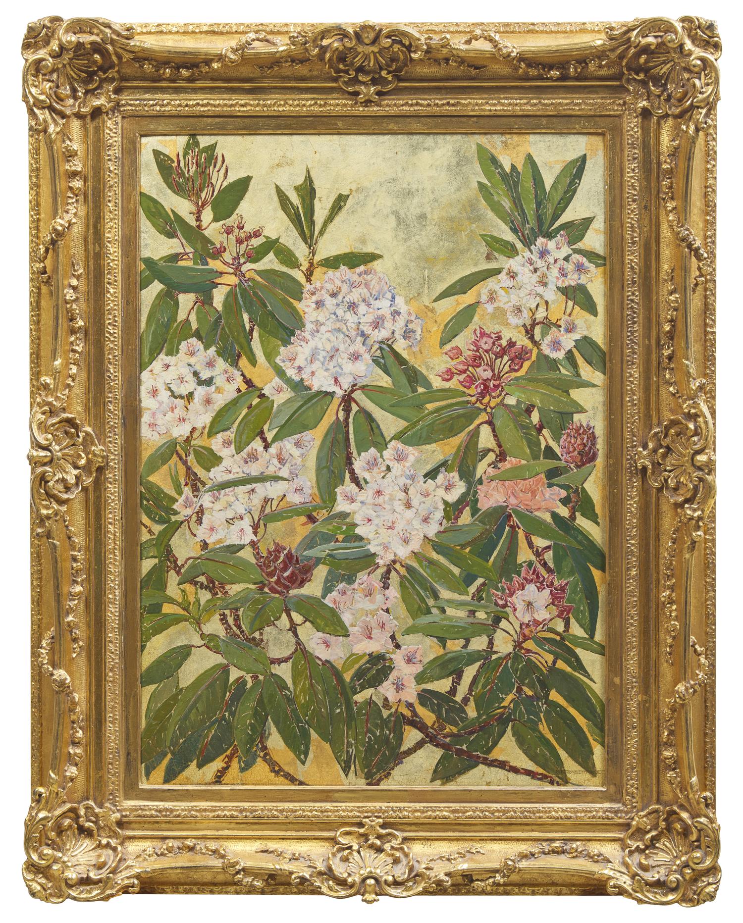 Rhododendron