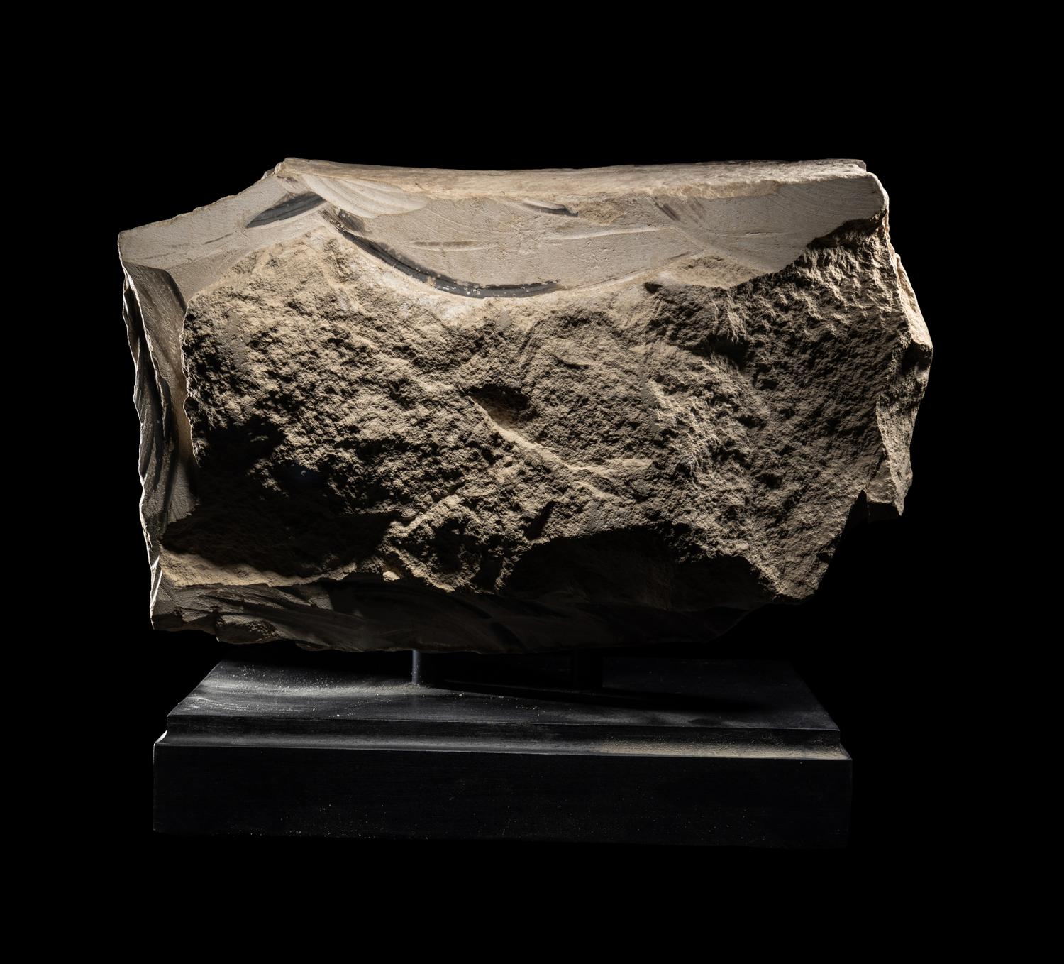 An Egyptian Limestone Relief Fragment with the Cartouche of Rameses II
