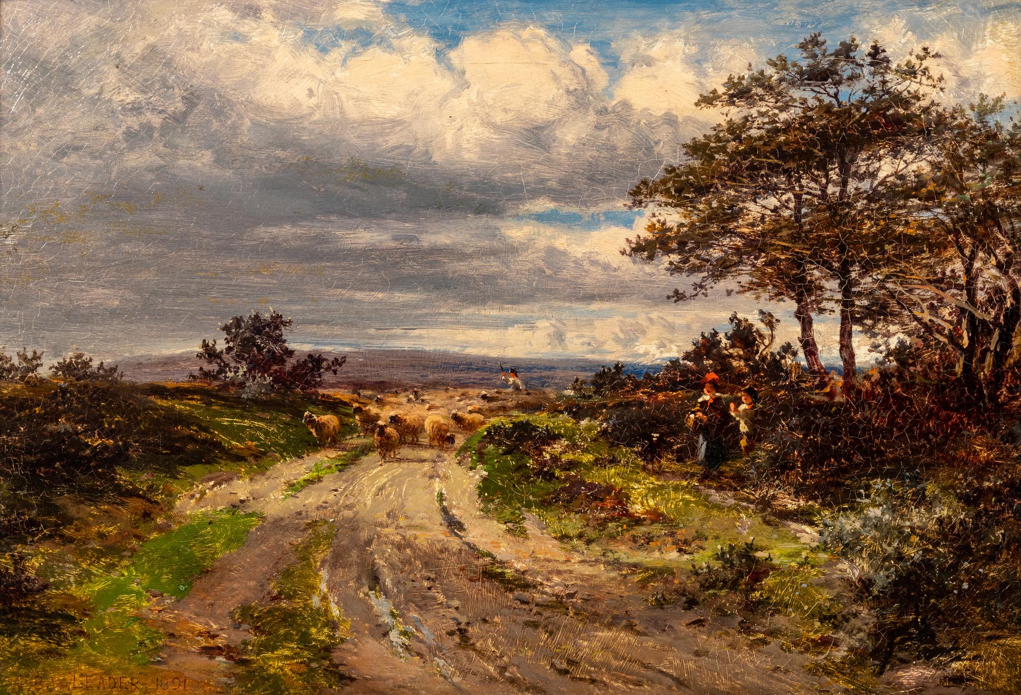 Herding Sheep
