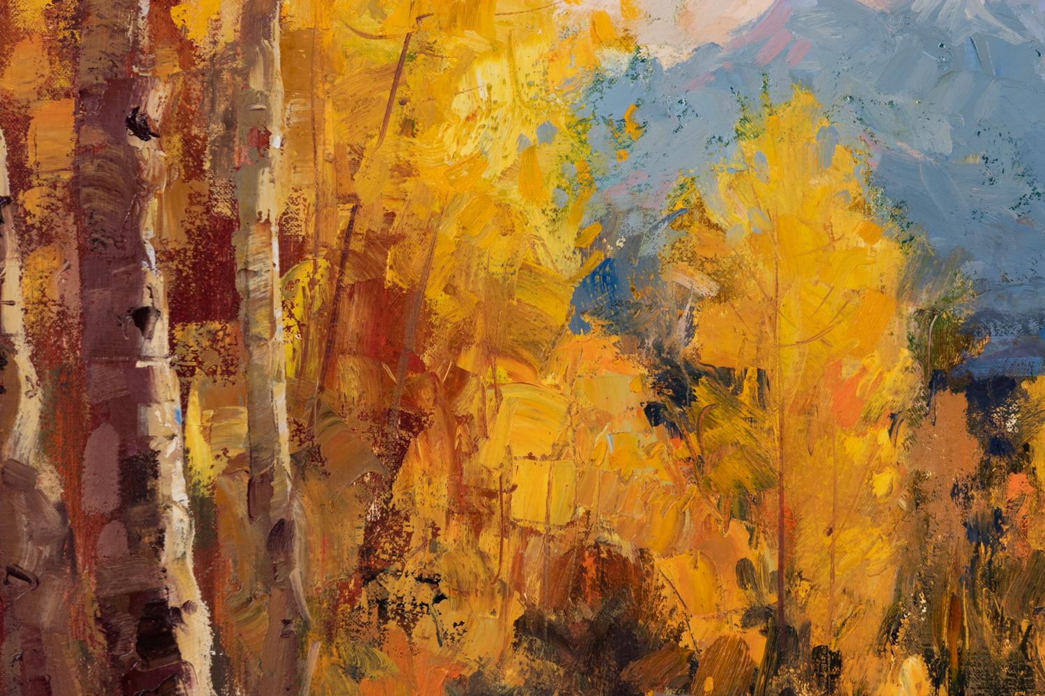 Aspen Grove