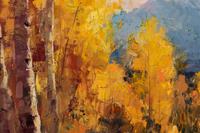 Aspen Grove
