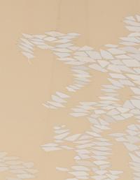 White Growth ND , 1970-71