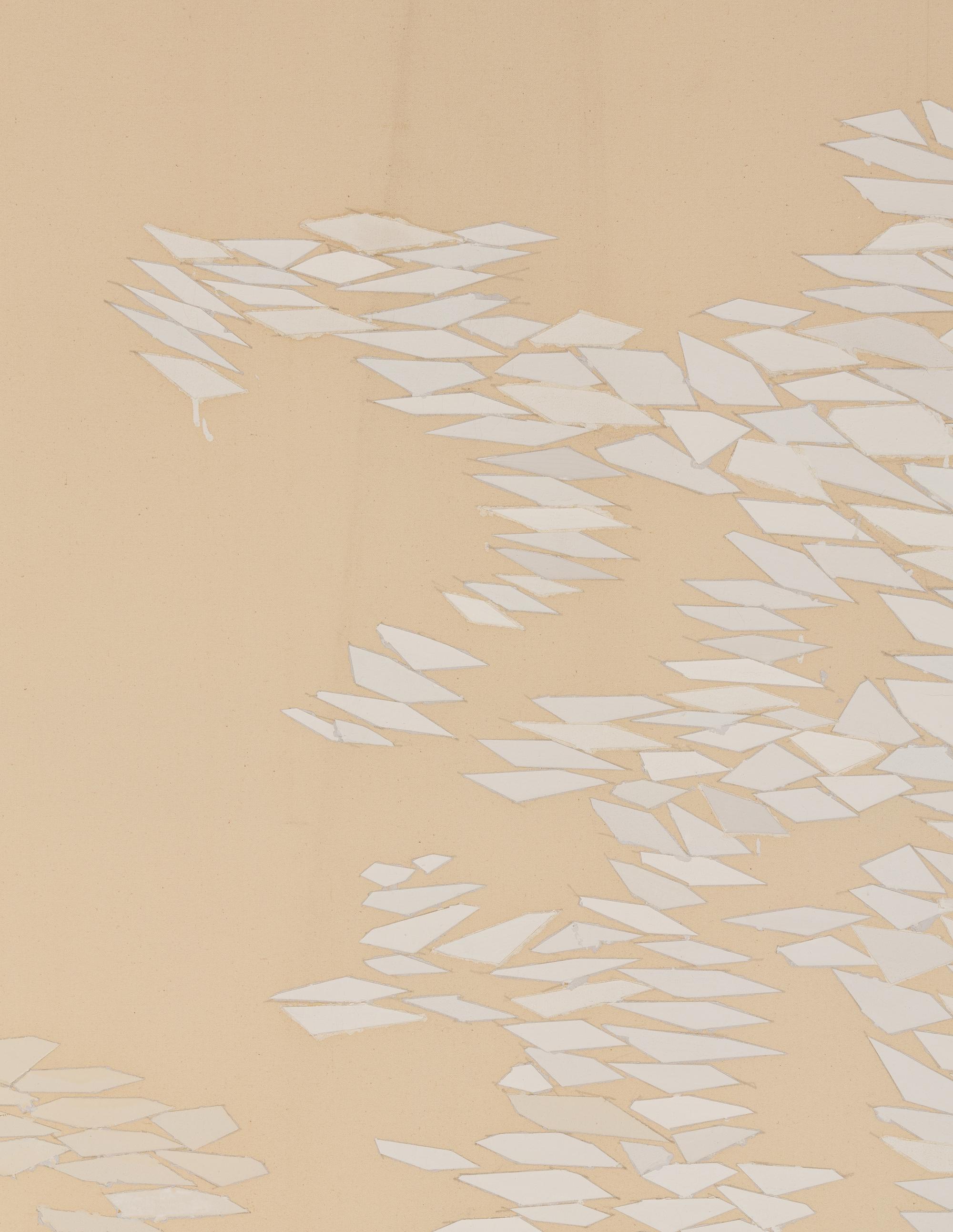 White Growth ND , 1970-71