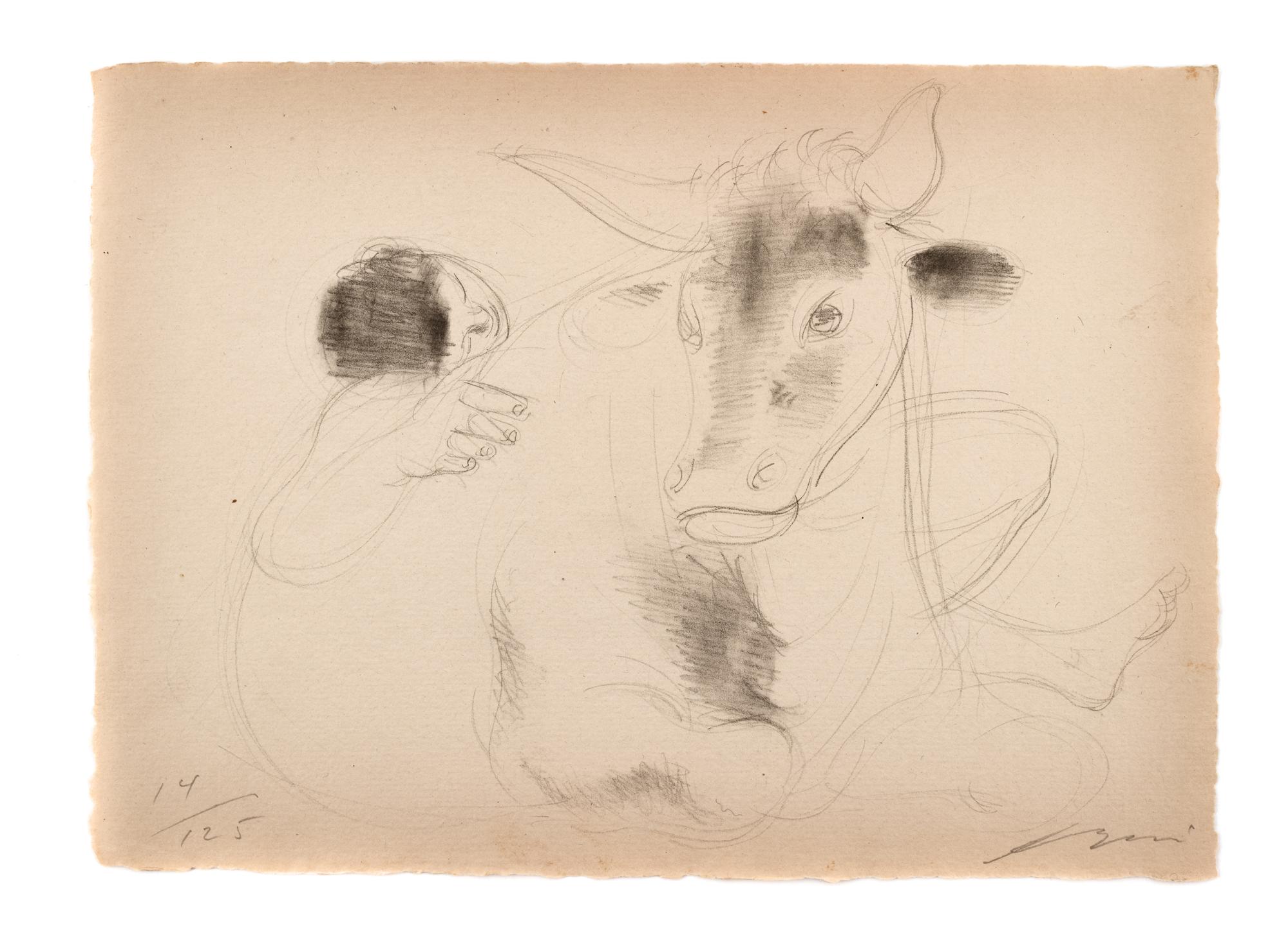 Portfolio of Twelve Sketches, 1950