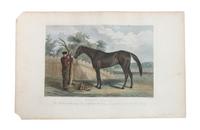 Six Hand Colored Race Horse Prints Height 7 x width 10 inches (largest) — 19TH CENTURY