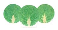 A Set of Twelve Dodie Thayer Lettuceware Salad Plates — 20TH CENTURY