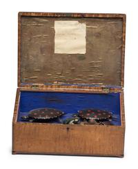 A Prisoner Made Figured Maple and Marquetry Inlaid Box with Turtles and Frogs, 19th Century