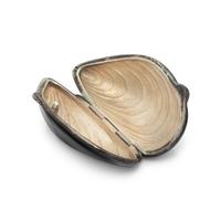 TIFFANY & CO., STERLING SILVER AND ENAMEL 'MUSSEL SHELL' PILL BOX