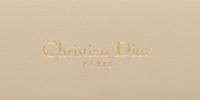 Christian Dior, Top Handle Flap Bag in Python