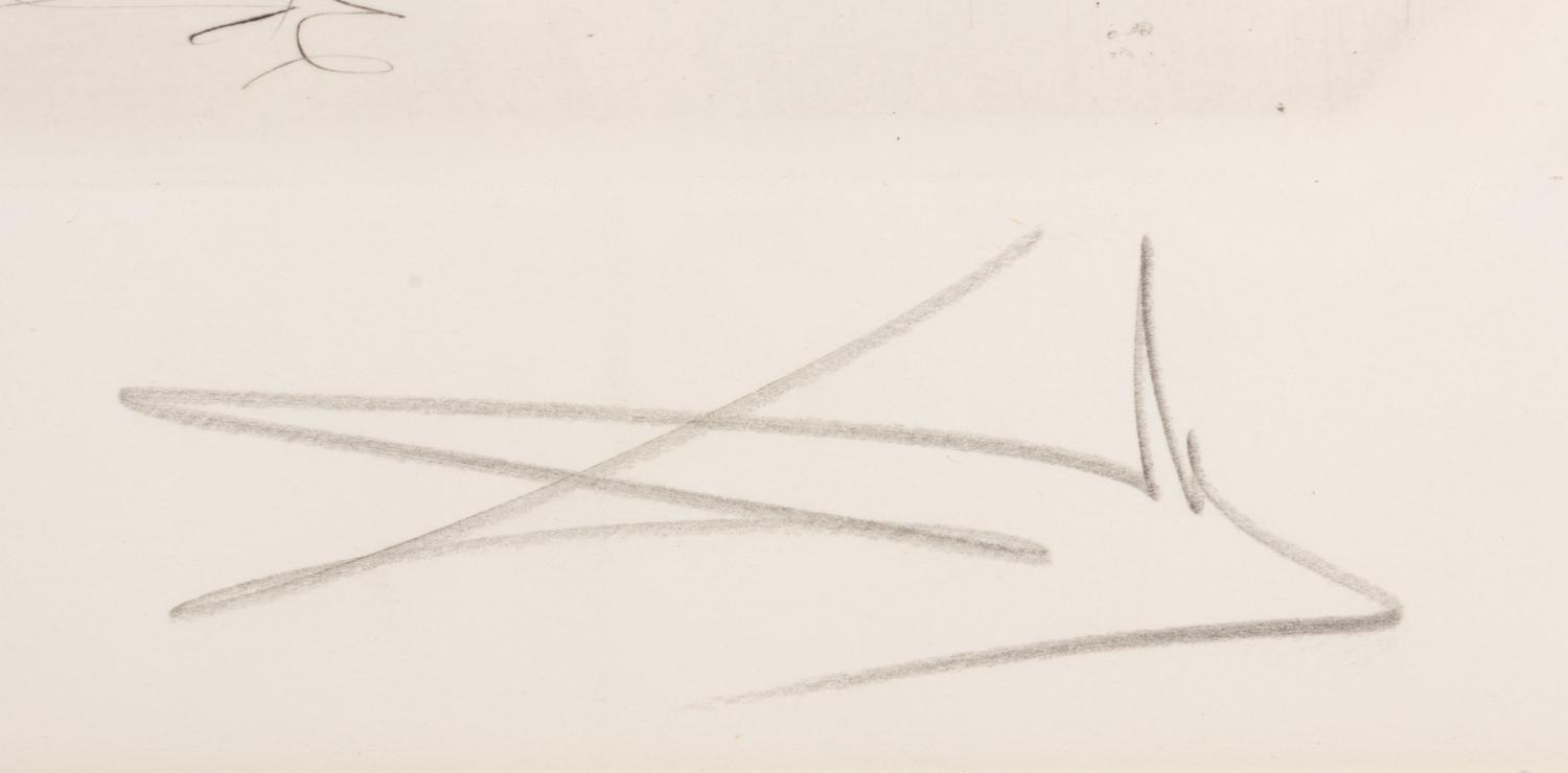 Salvador Dali
