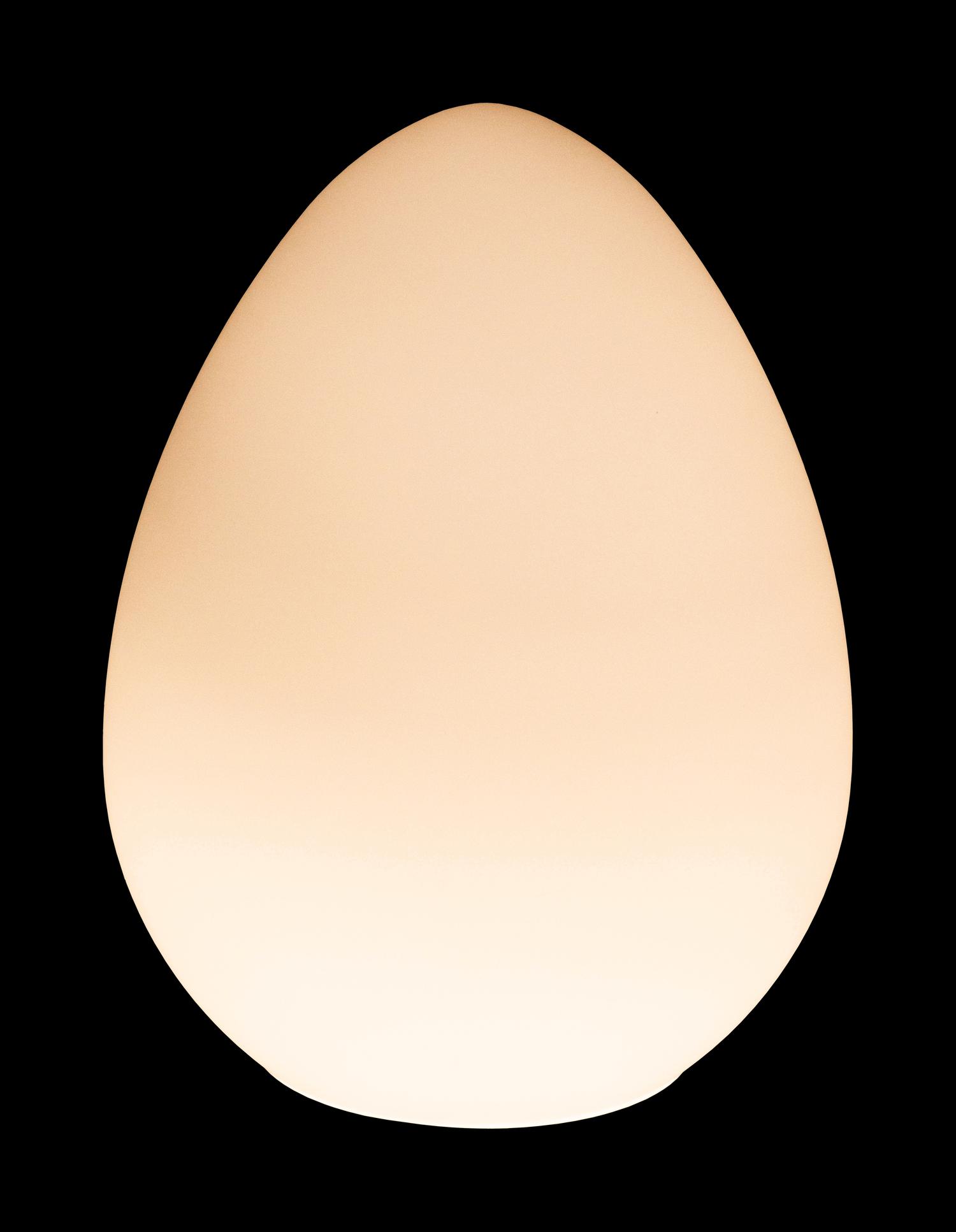 Uovo Table Lamp