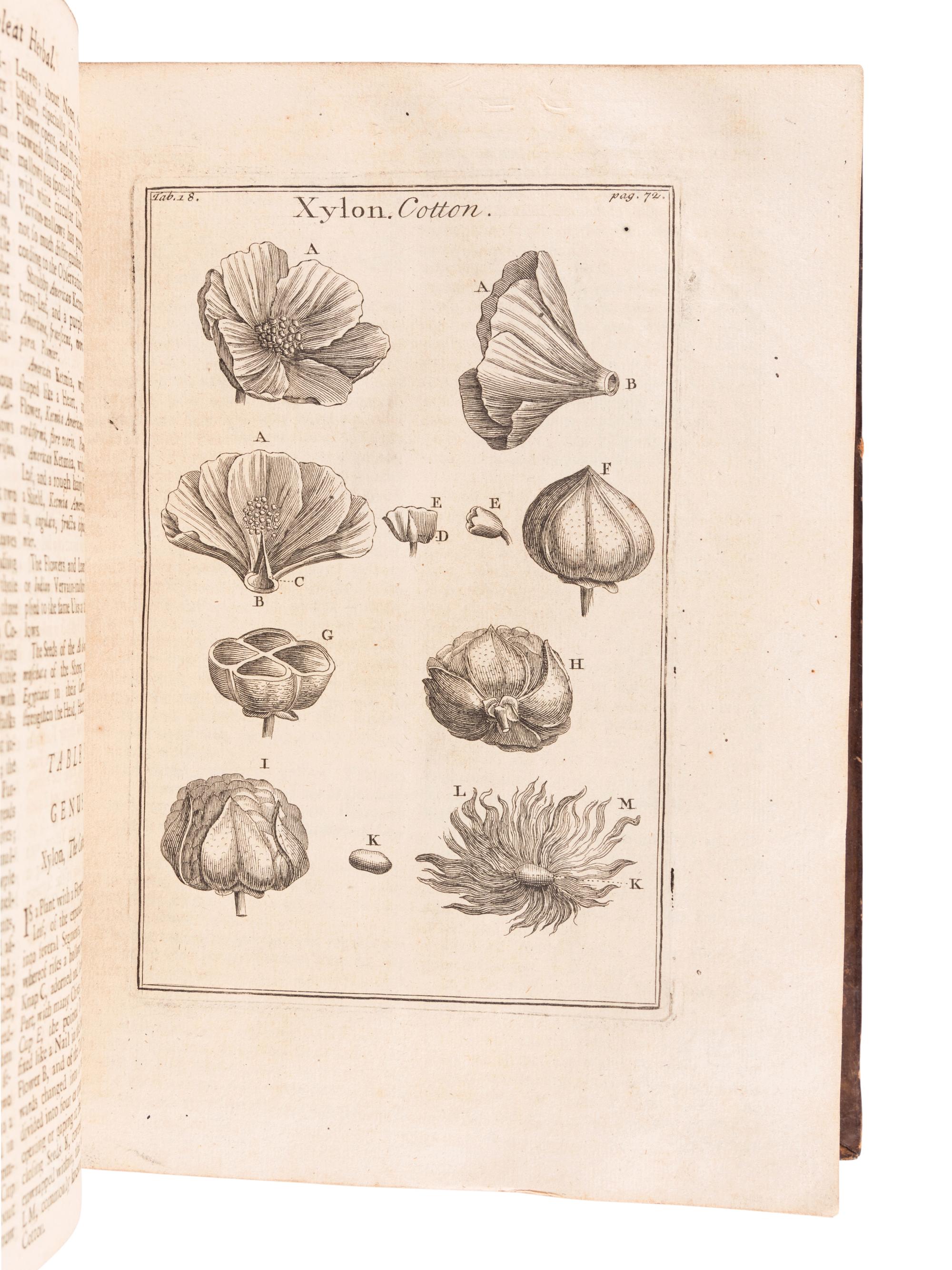 TOURNEFORT, Joseph Pitton de (1656-1708). Institutiones rei herbariae . Paris: Typographia Regia, 1700.