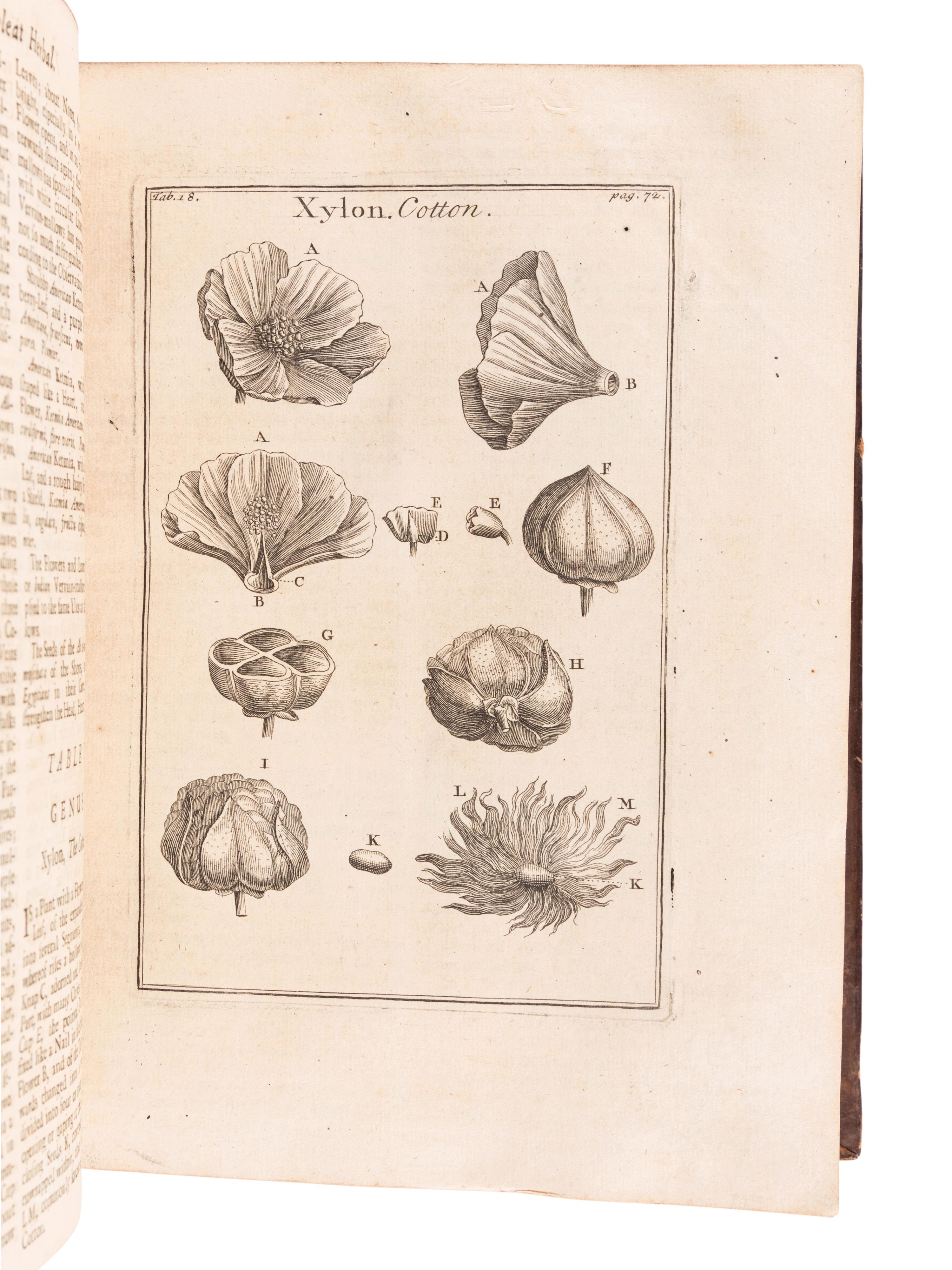 TOURNEFORT, Joseph Pitton de (1656-1708). Institutiones rei herbariae . Paris: Typographia Regia, 1700.