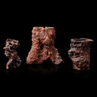 Three rootwood brush holders