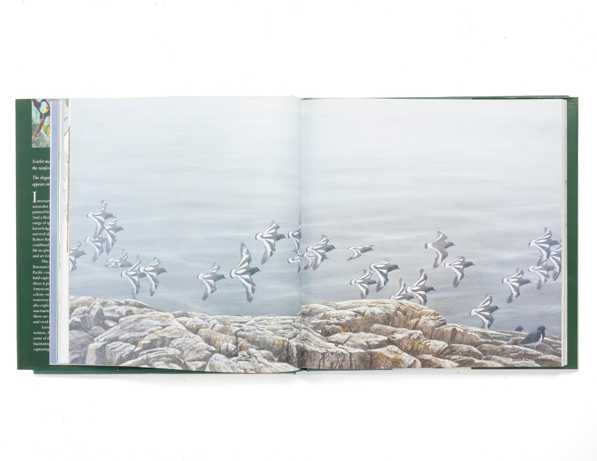 Peregrine in Flight , Proof 1; together with book, Birds: Robert Bateman