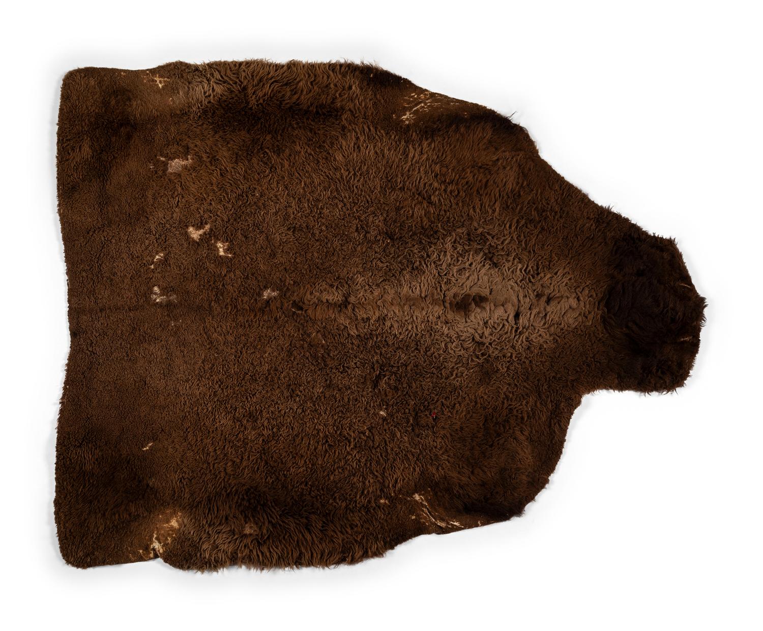 Northern Plains Painted Buffalo Robe