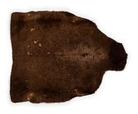 Northern Plains Painted Buffalo Robe