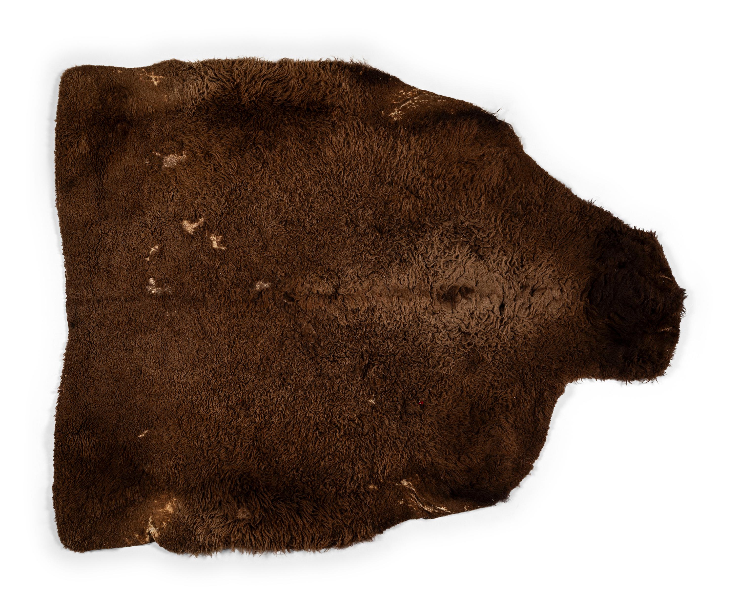 Northern Plains Painted Buffalo Robe