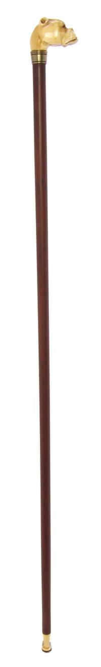 An English Ivory Handled Cane, Length of handle 2 x length overall 25 1/2 inches.