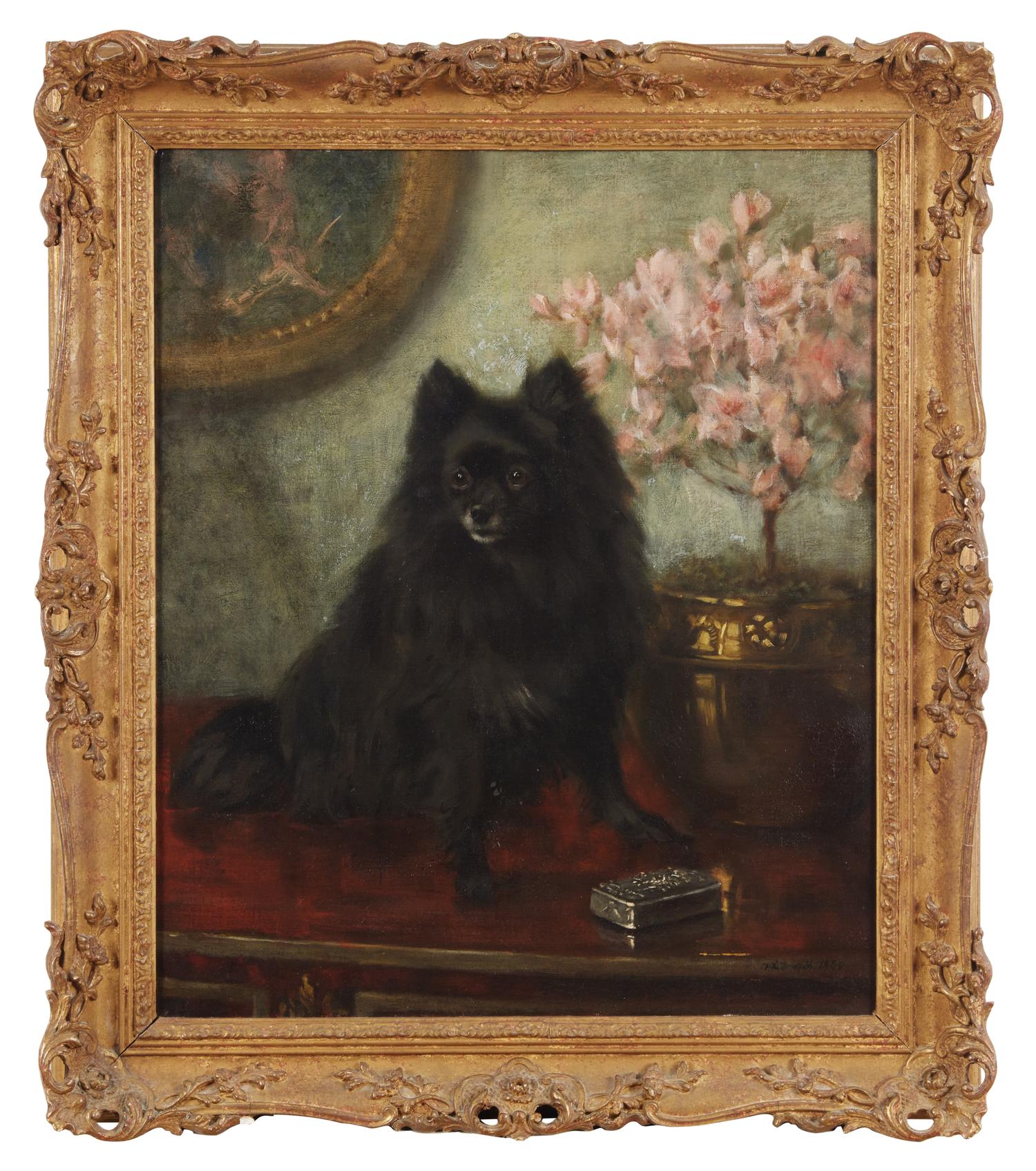 Seated Black Pomeranian, 1898