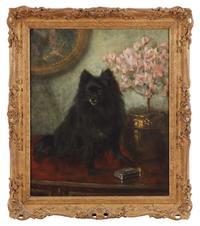 Seated Black Pomeranian, 1898
