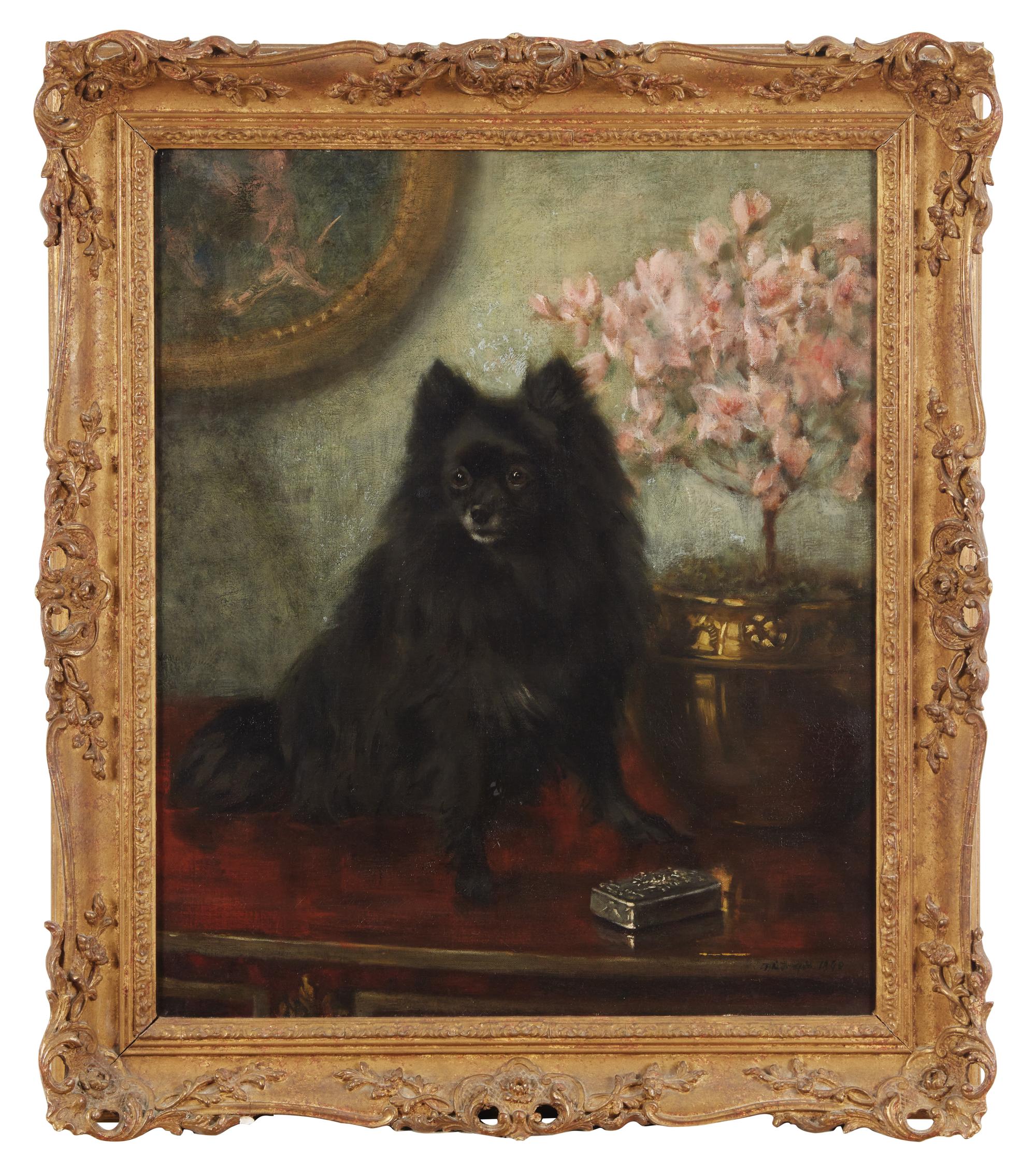 Seated Black Pomeranian, 1898